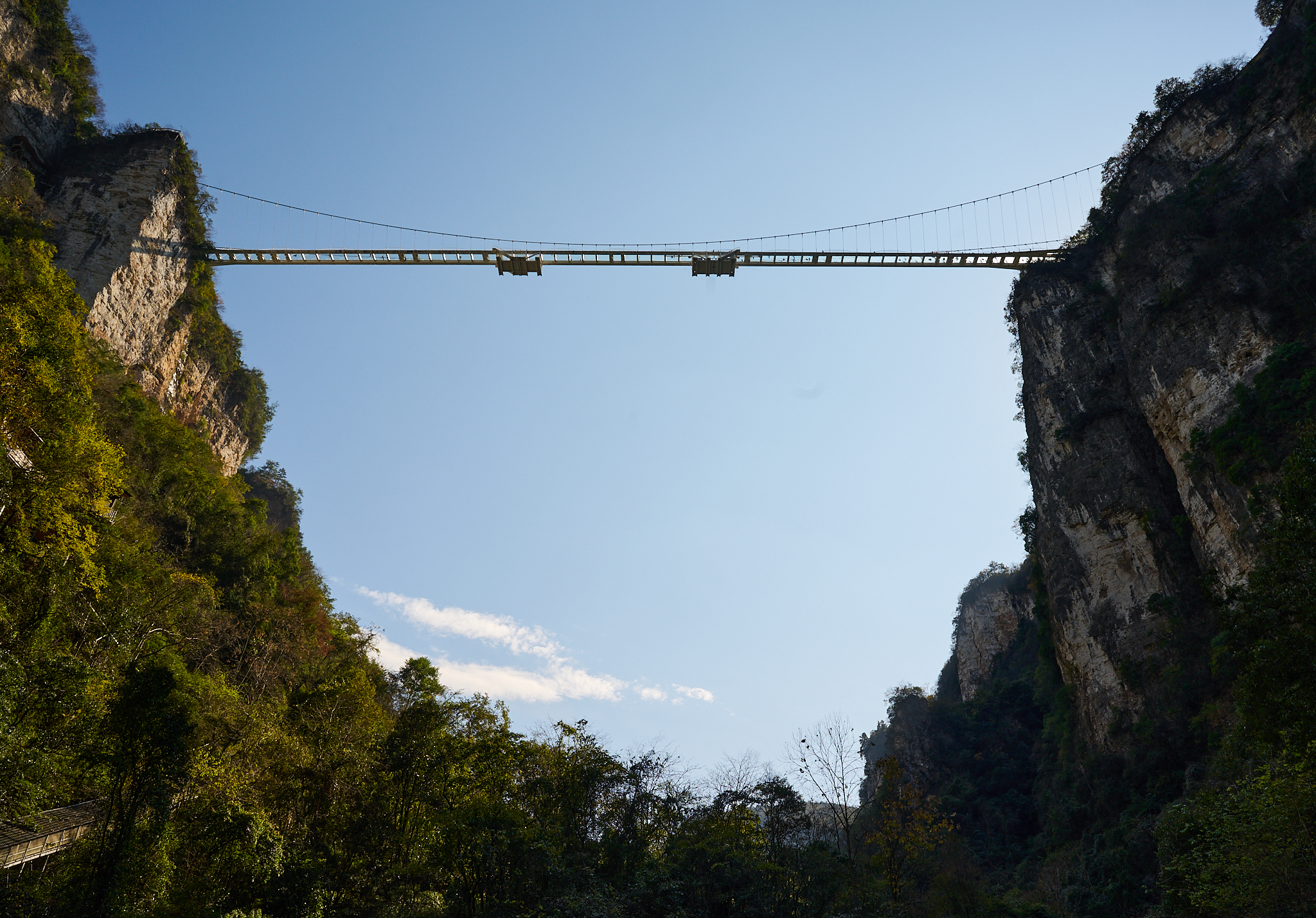 Большой каньон Чжэнцзяцзе и стеклянный мост